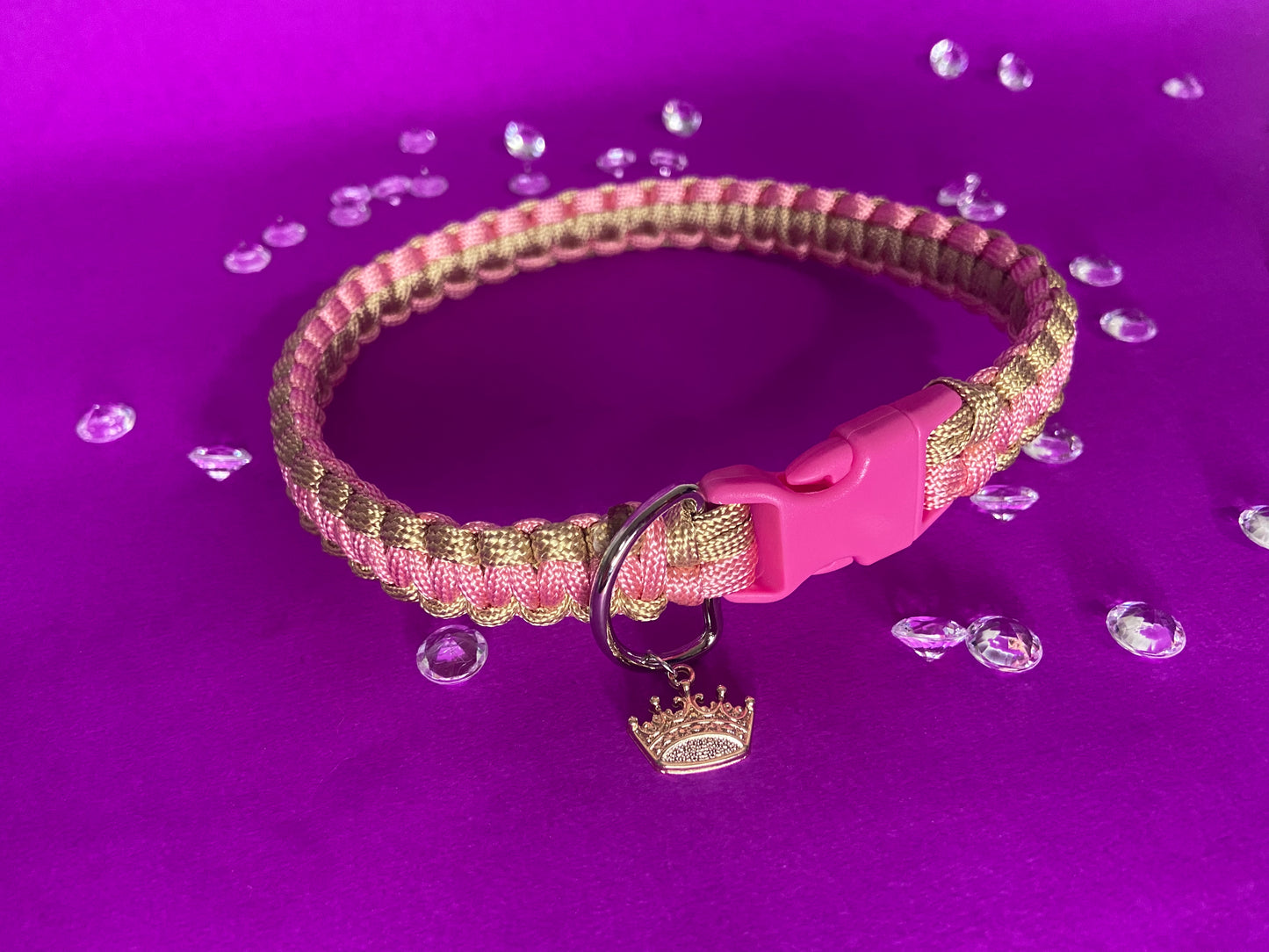 Collier élégant canin