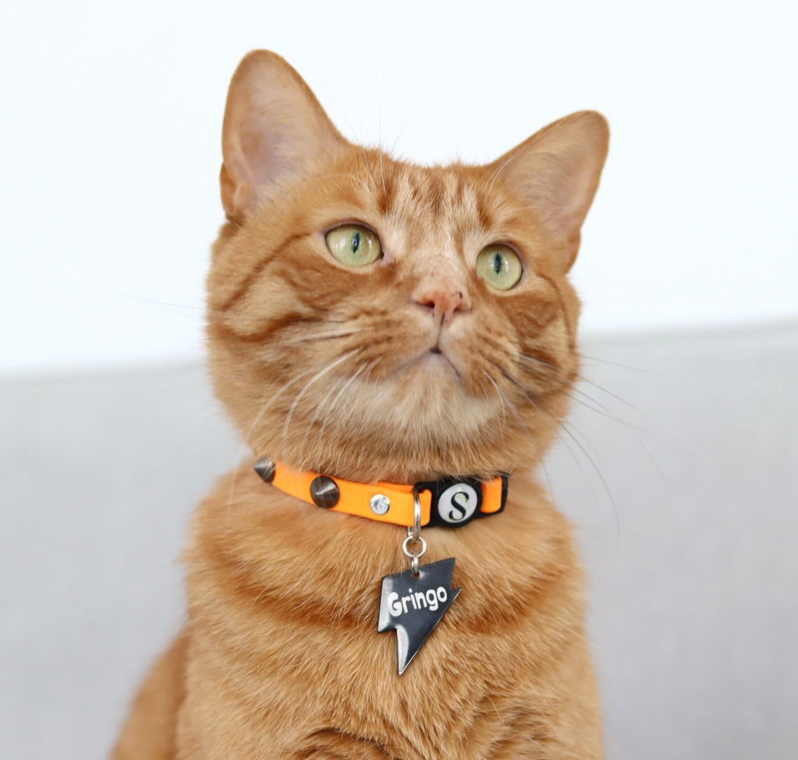 Collier Badass cat