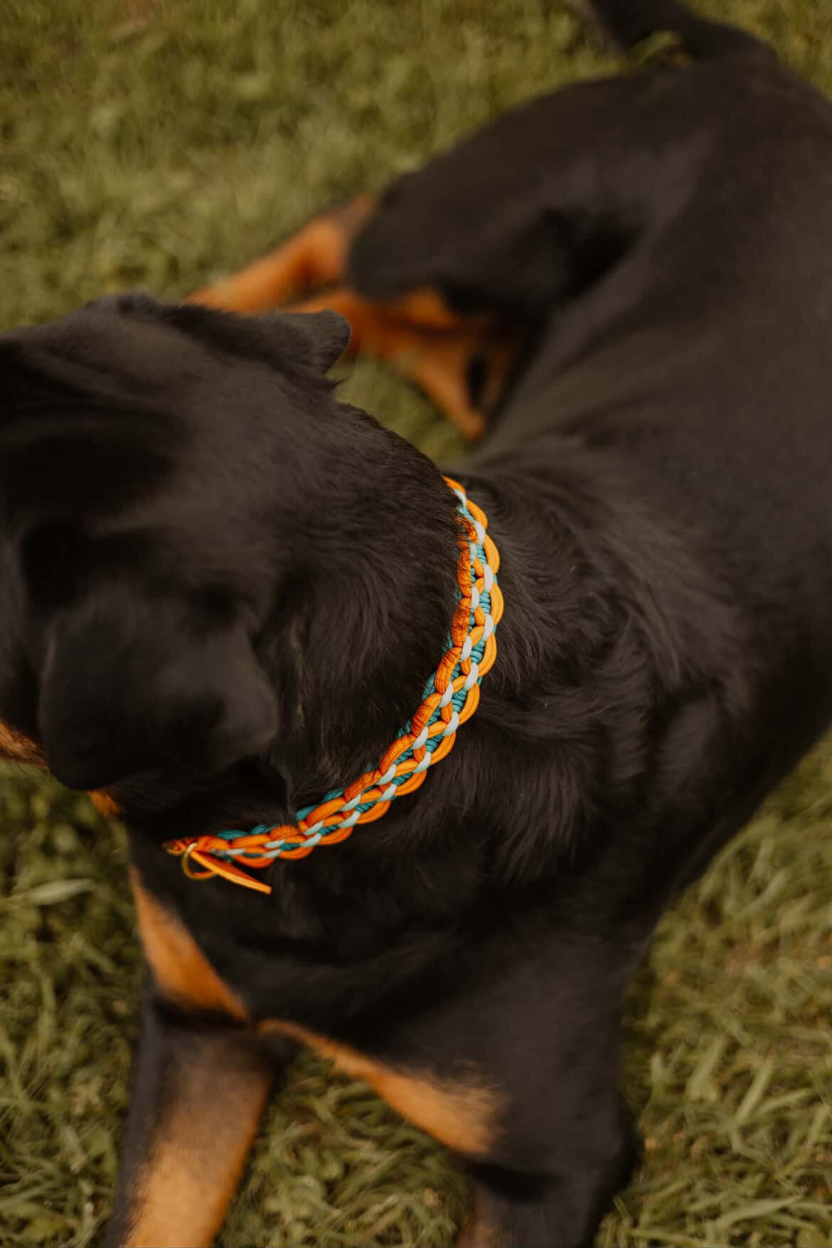 Collier épatant corail