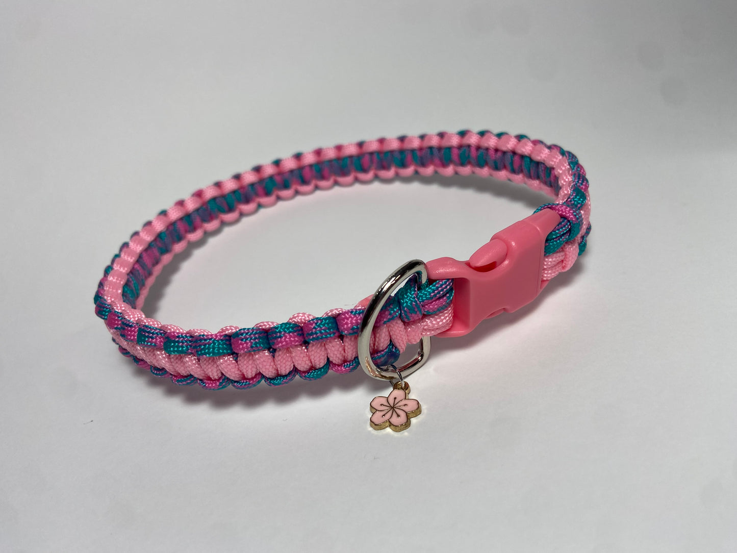 Collier élégant canin