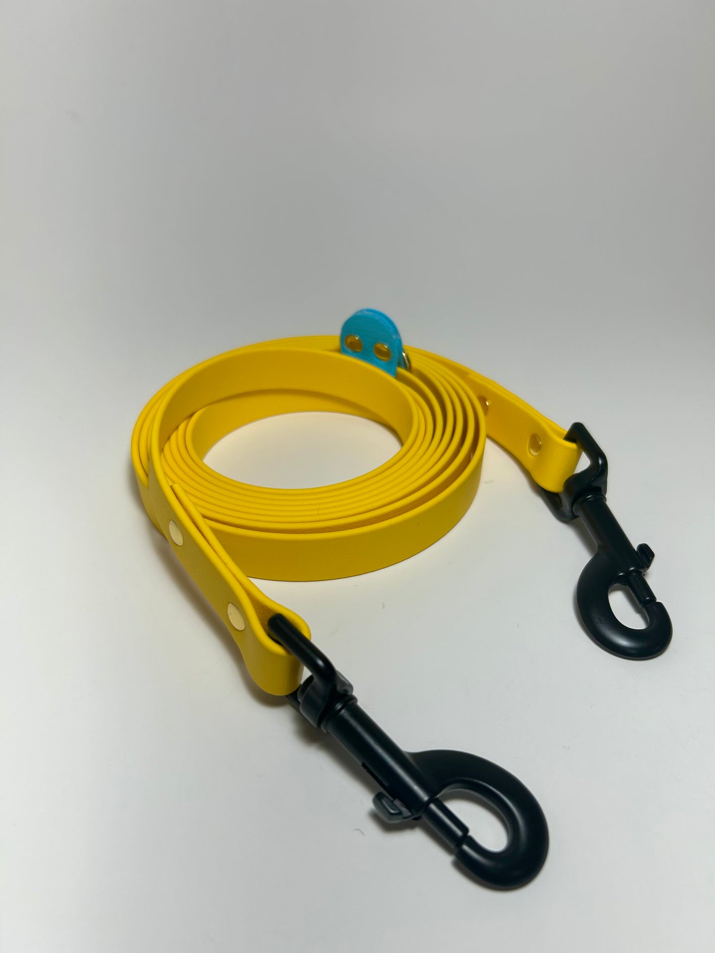 Laisse citron bleu
