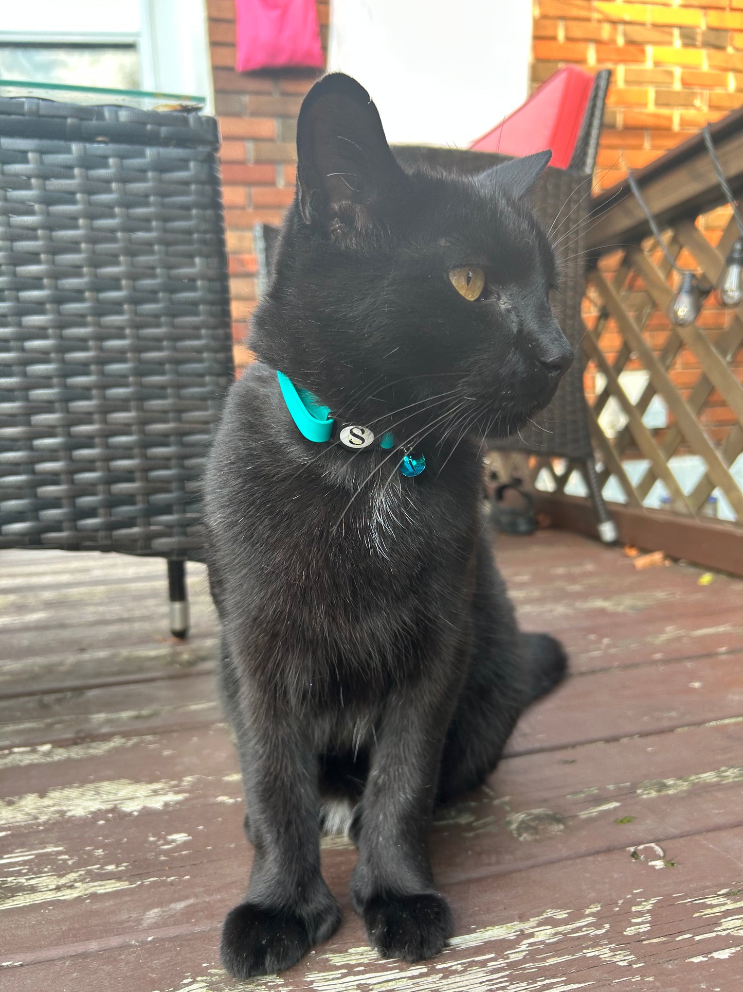 Collier Arc-en-chats