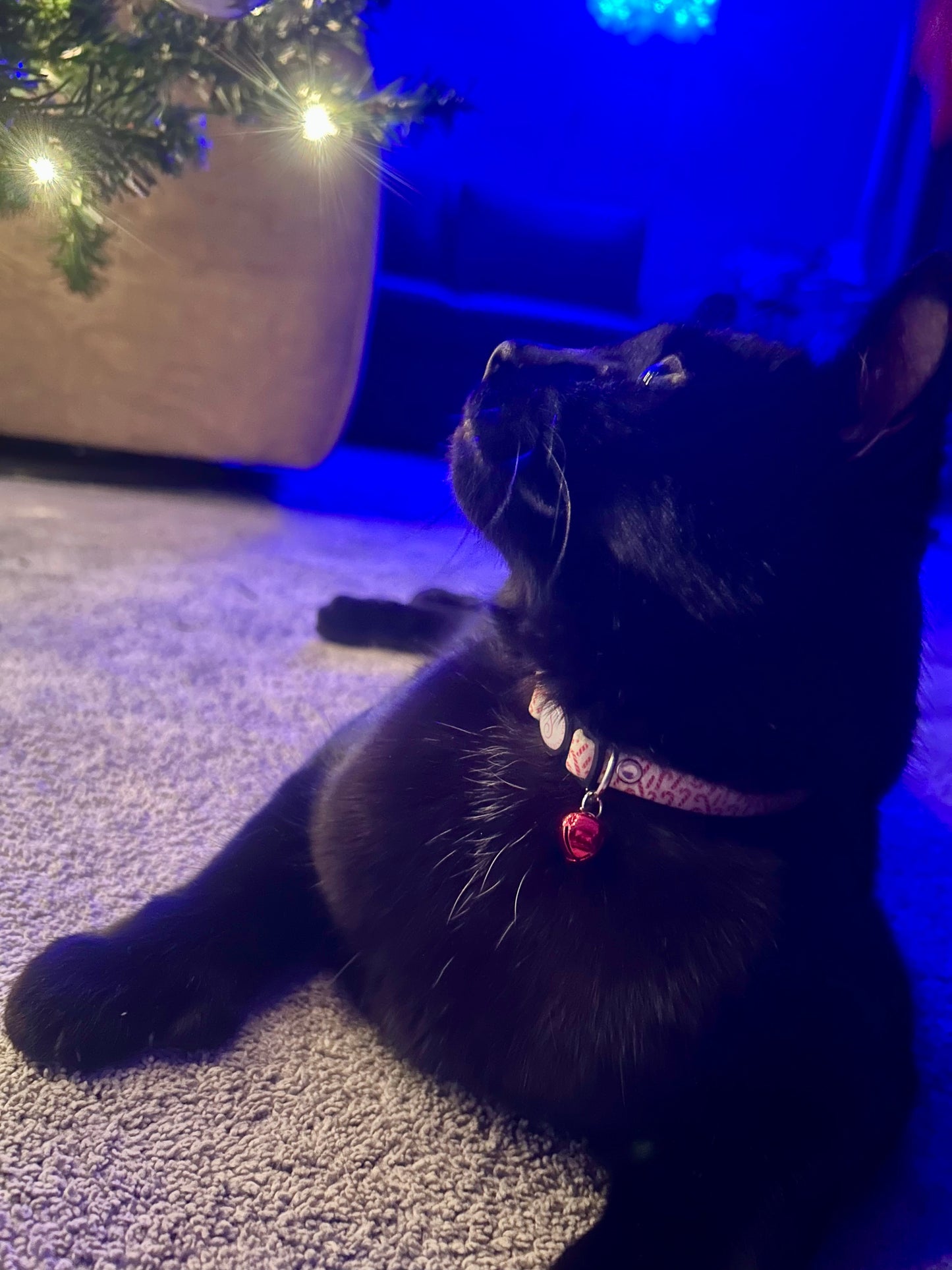 Collier candy cane