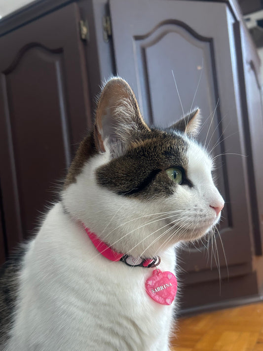 Collier Arc-en-chats