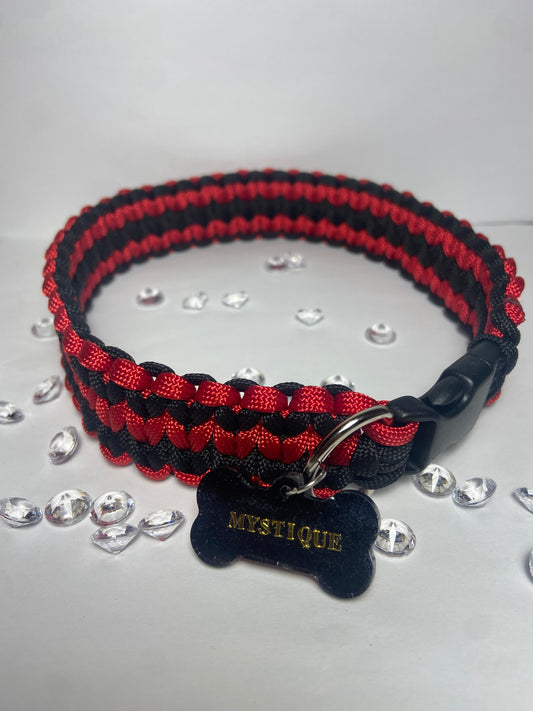 Collier mystique canin