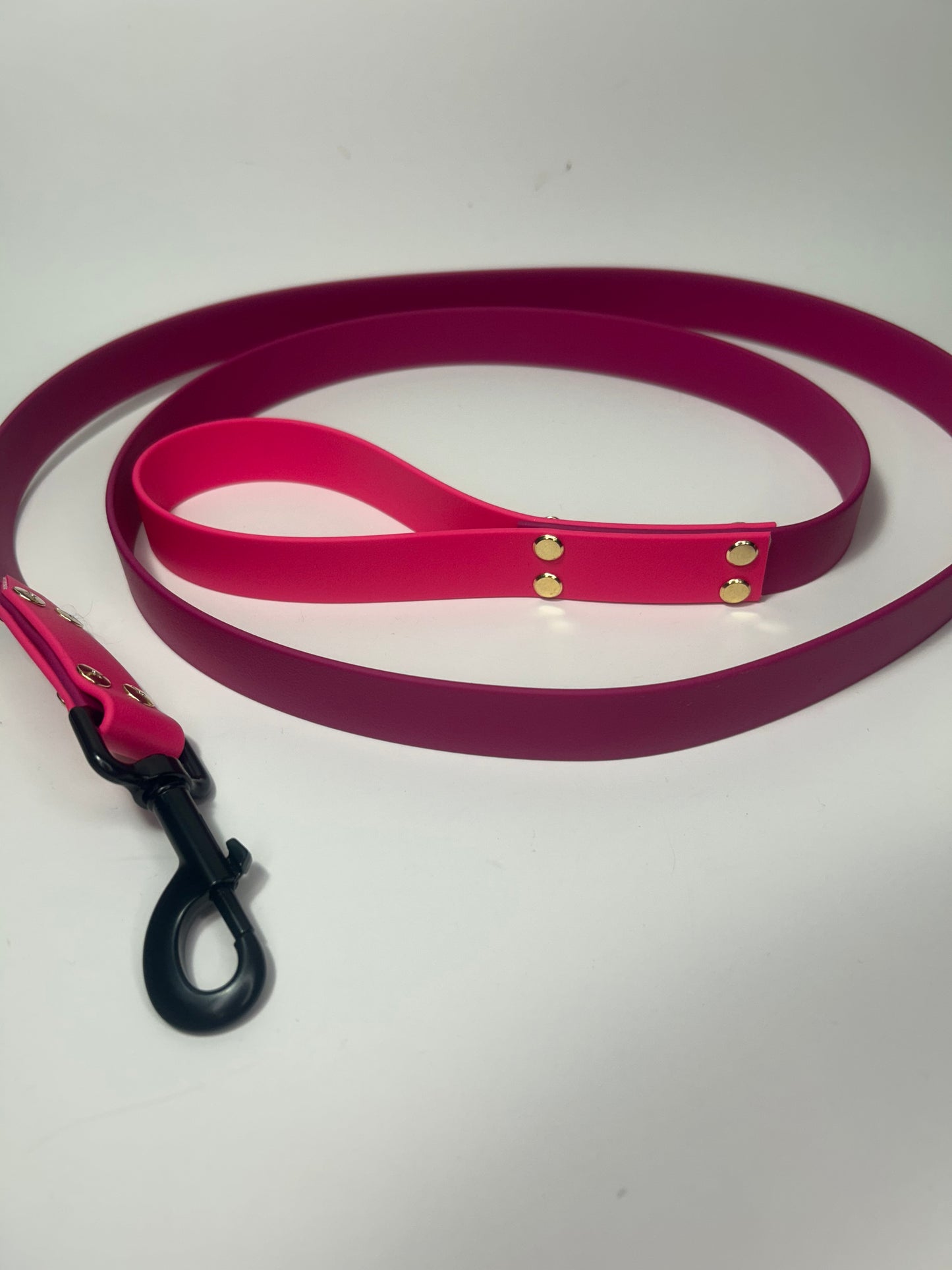 Laisse Magenta