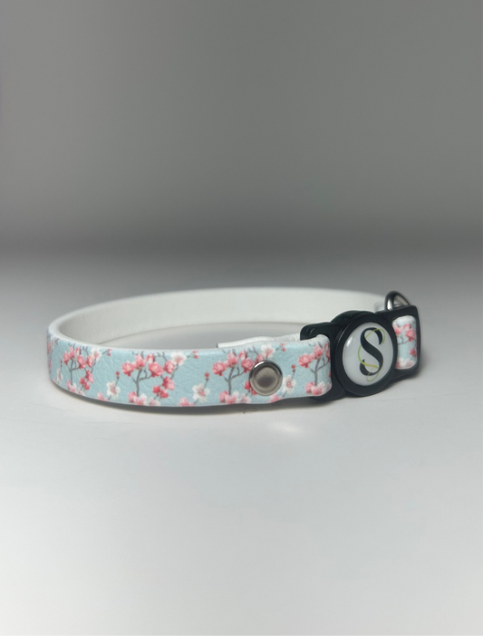 Collier Blossom cat