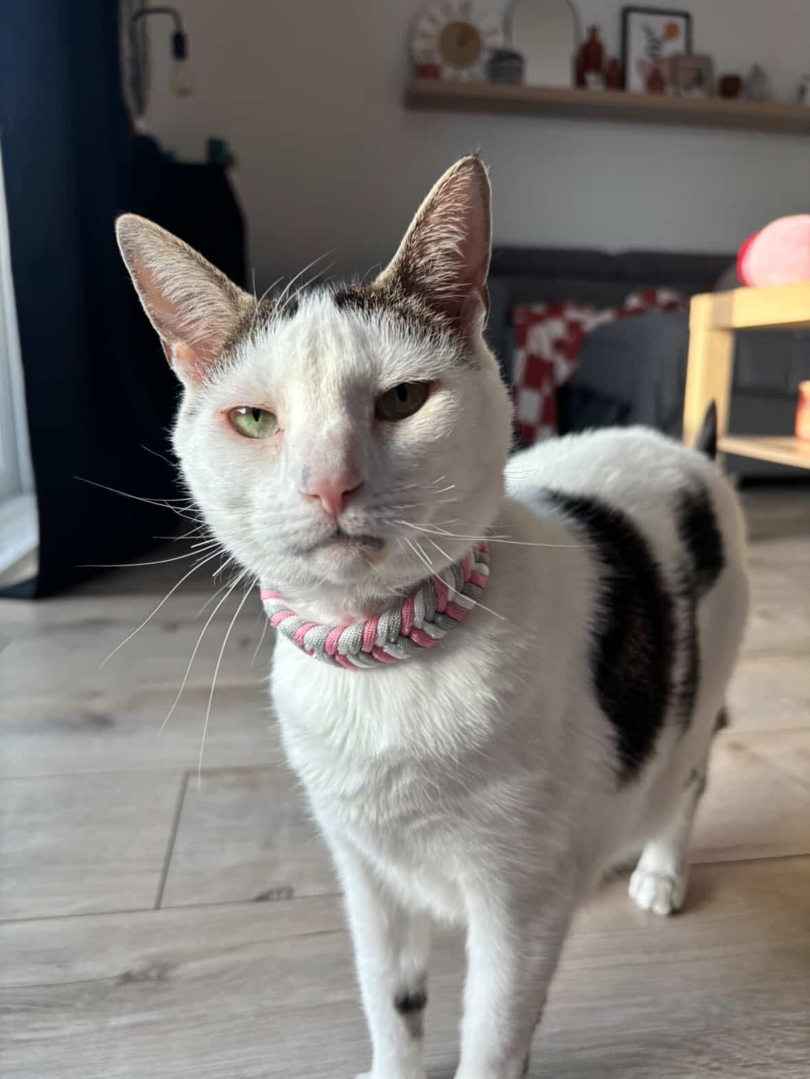 Le collier de Lulu