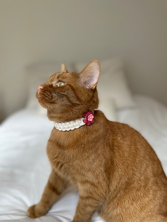 Collier floral kitty