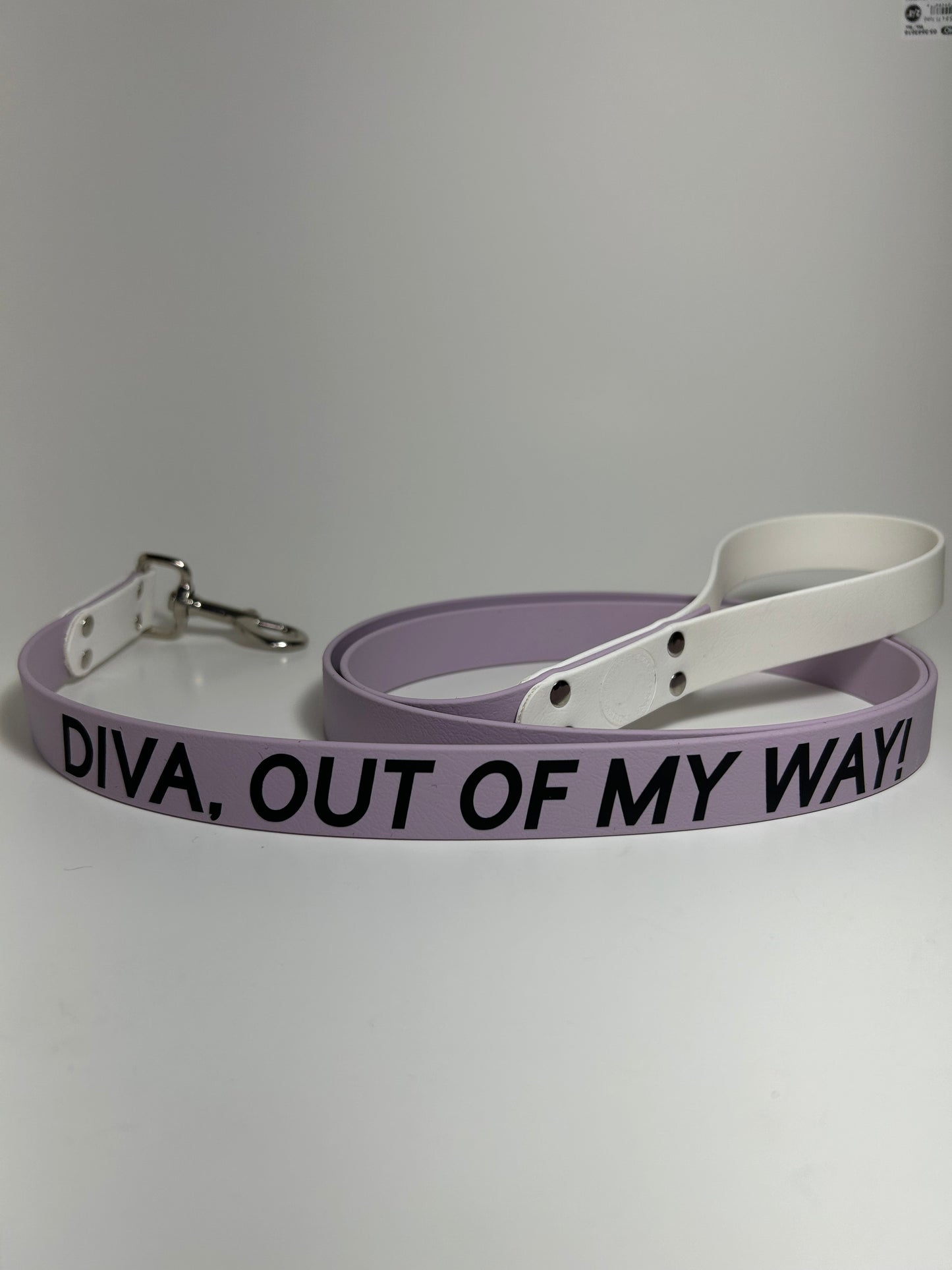 Laisse Personnalisée