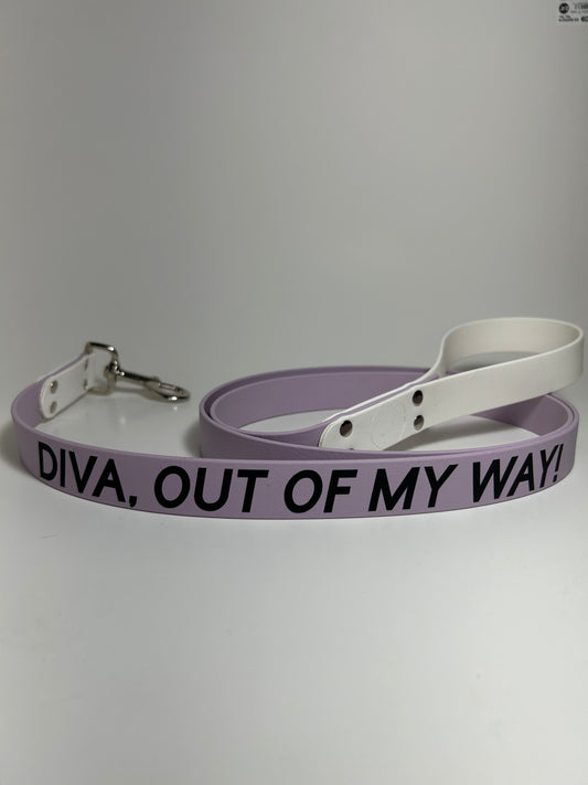 Laisse Personnalisée