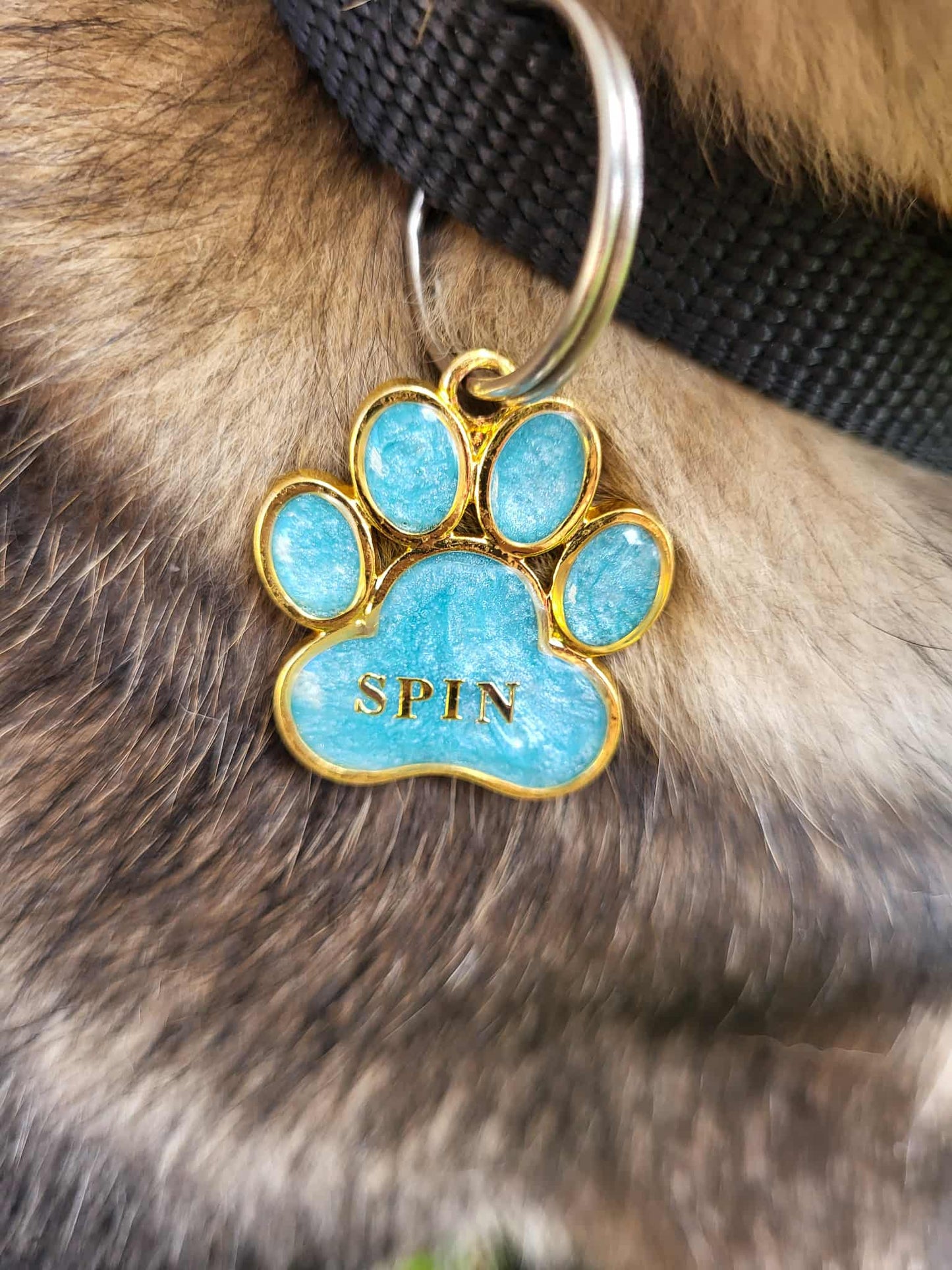 Médaille patte