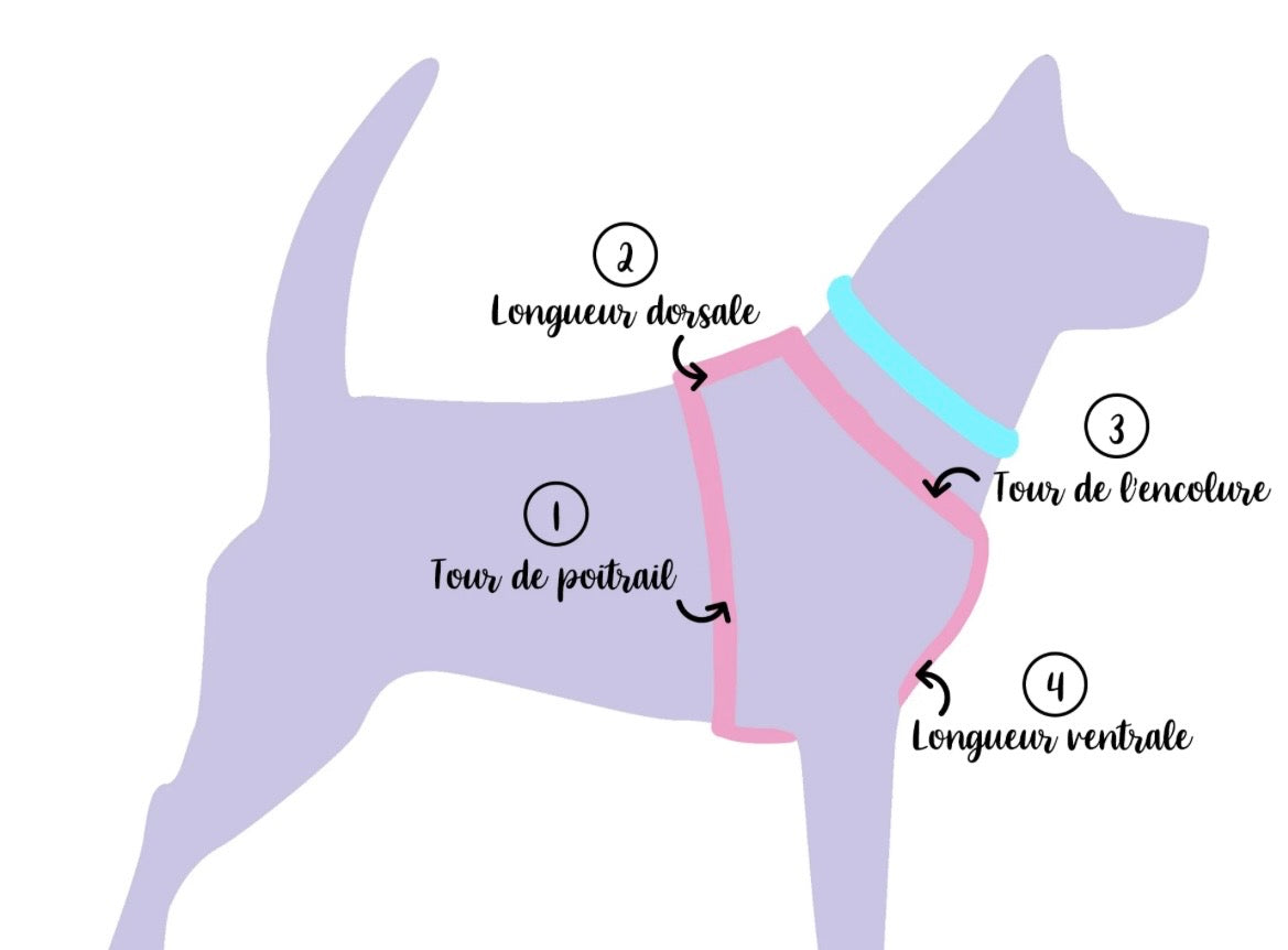 Harnais éveil floral