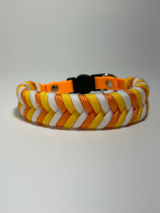 Collier éclipse ensoleillé