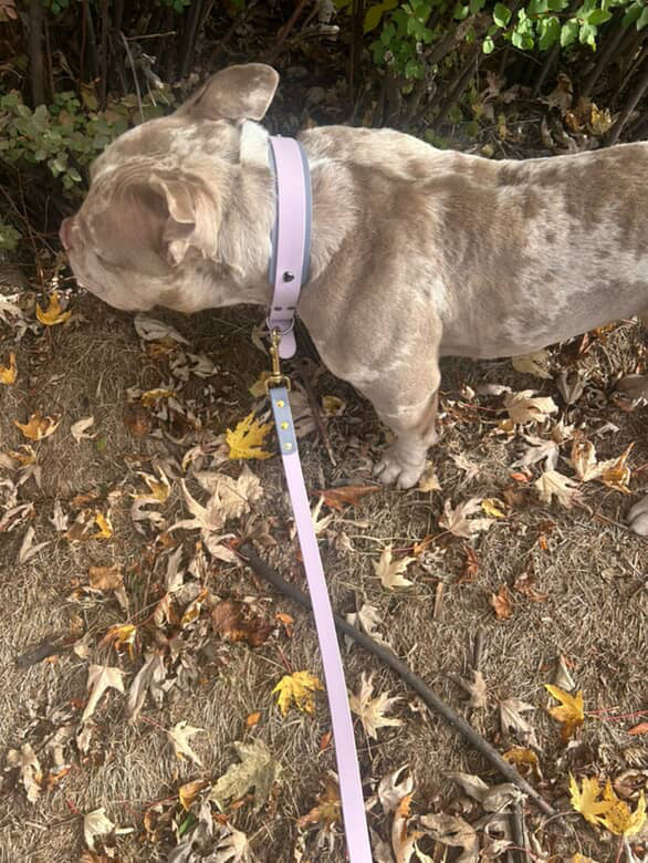 Collier pinky promise