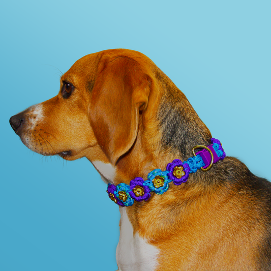 Collier Floral canin